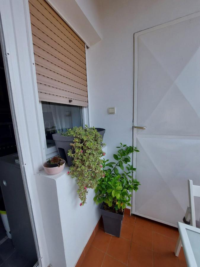Center Danube Street Apartment Novi Sad Exterior foto