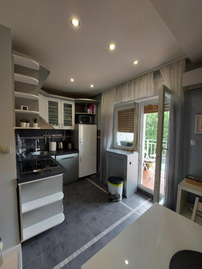 Center Danube Street Apartment Novi Sad Exterior foto